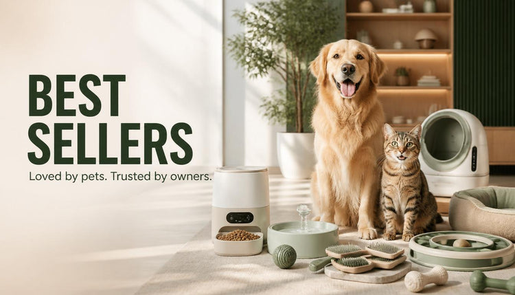 Best Sellers