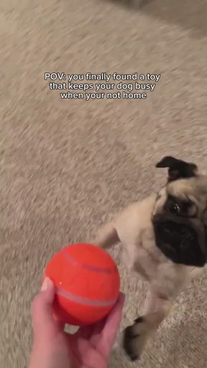 Smart Interactive Pet Ball Toy
