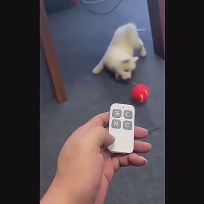 Smart Interactive Pet Ball Toy
