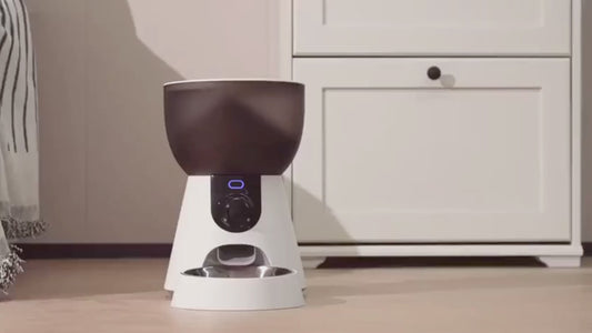 Automatic Cat Feeder with Camera & App Control