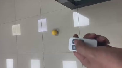 Smart Interactive Pet Ball Toy