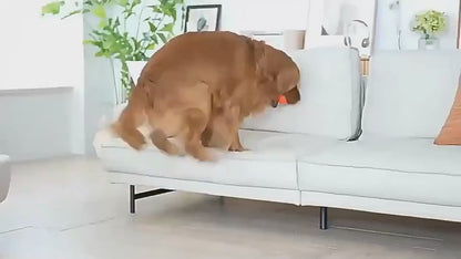Smart Interactive Pet Ball Toy