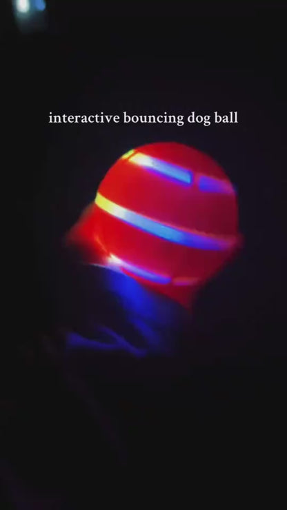 Smart Interactive Pet Ball Toy