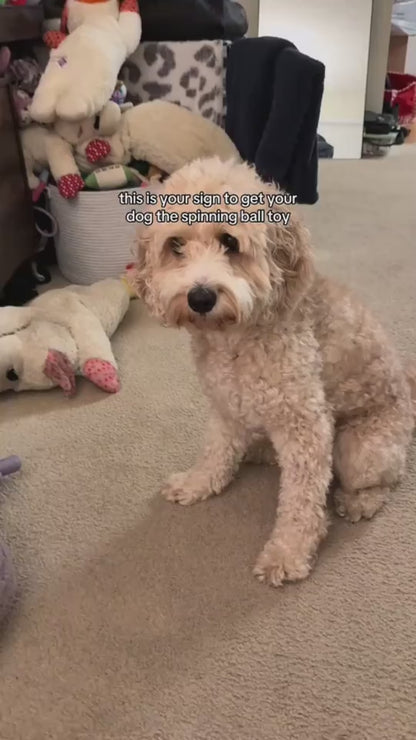Smart Interactive Pet Ball Toy