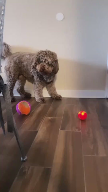 Smart Interactive Pet Ball Toy