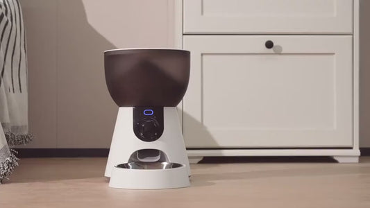 Automatic Cat Feeder with Camera & App Control